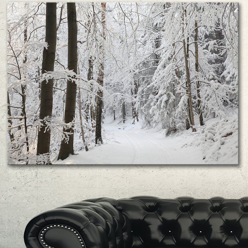 Dense Winter Forest Landscape Canvas Print in White