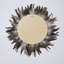 Feather Wall Decor