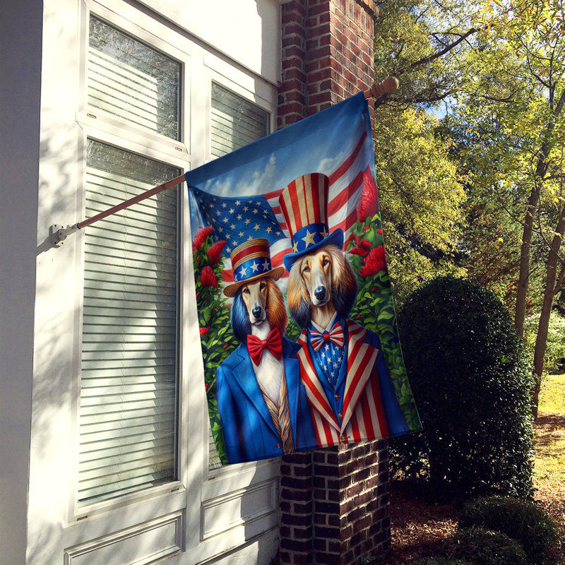 Drapeau «All American House», Lévrier afghan