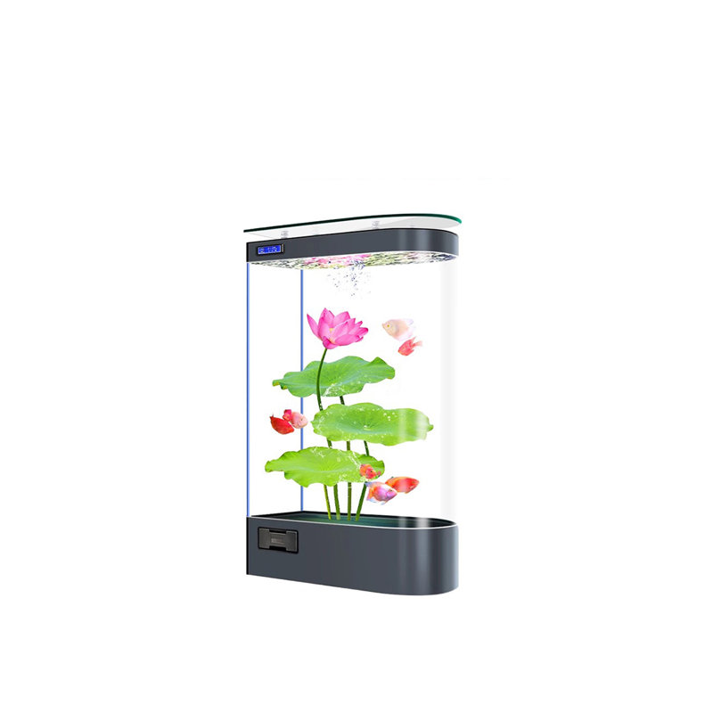 Grand aquarium écologique 47,24 po, 81,89 gallons (H 54,33 po x l 47,24 po x P 15,75 p