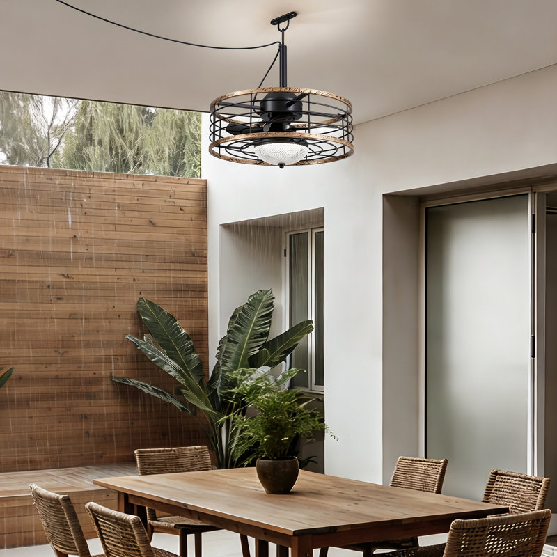 20" Wet Rated Plug-in Caged Ceiling Fan with LED Light Kit and Remote 