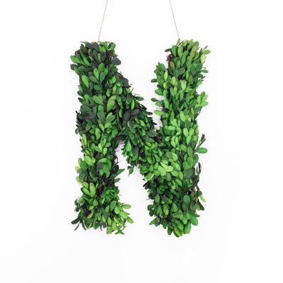 Modern Home 13'' Boxwood Tree