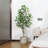 Adcock Artificial Ficus Tree in Pot with Realistic Leaves and Natural Trunk-311849291