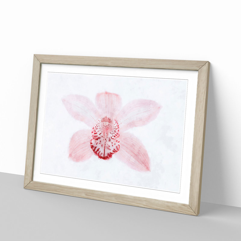 Light Pink Boat Orchid - Picture Frame Graphic Art Print, 45cm H x 63cm W x 2cm D, Oak Framed