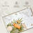 Shuttleworth Beauty Skincare-108732903