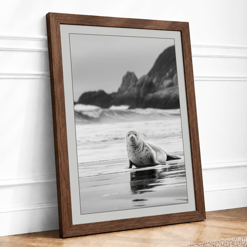 Seal On The Shore Coastal - Print, A2 - 59.4 x 42.0 cm, Walnut