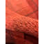 Geometric Area Rug in Red