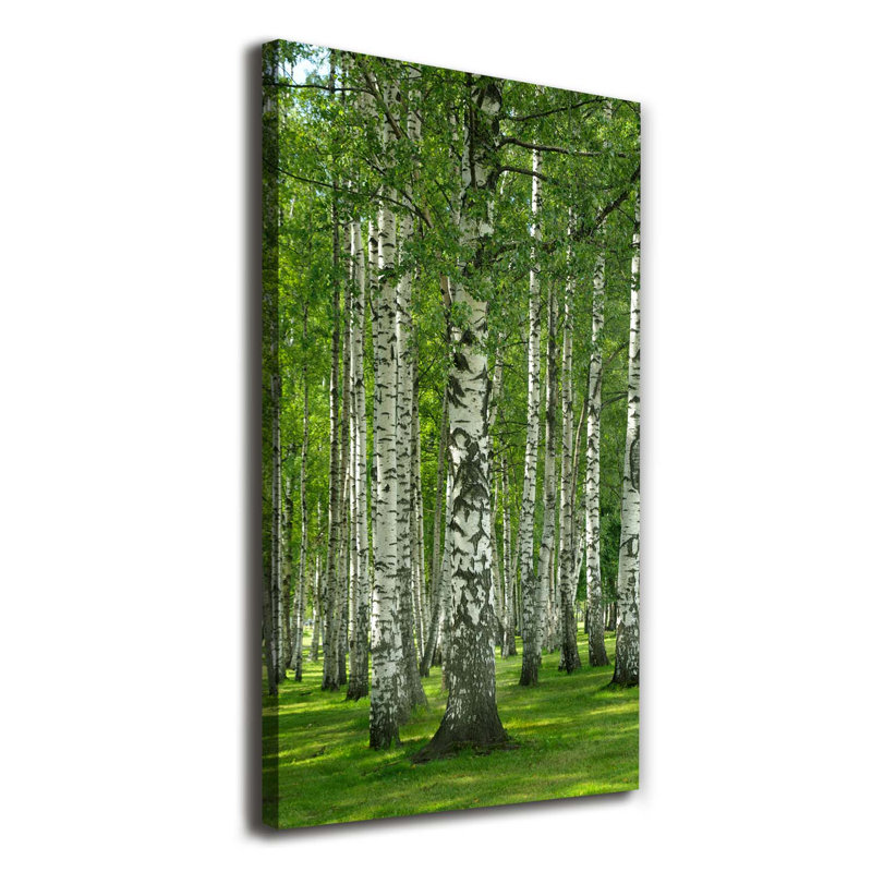 Birch Forest - Wrapped Canvas Print