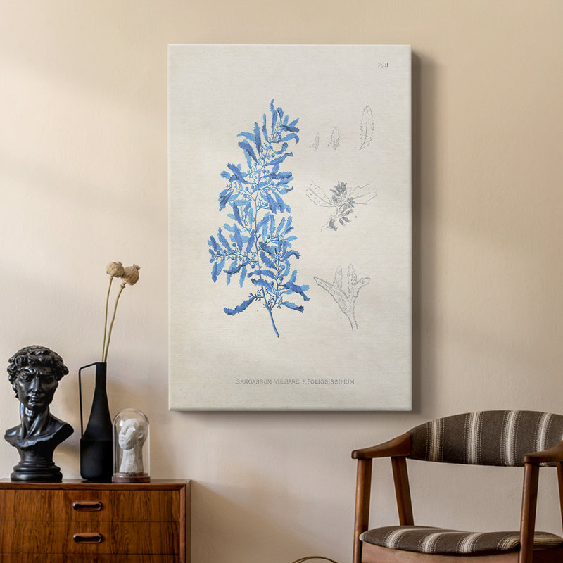 Blue Marine Algae VI - Gallery Cavas
