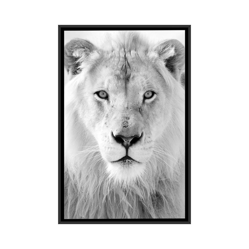 « roi », photographie sur toile, H 26 po x l 18 po x P 1,5 po, Toile avec cadre noir, Pas de tapis