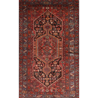Oriental Indoor Rug