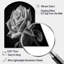 Art mural asymétrique «Centerville Blossoming Rose I»-109629805