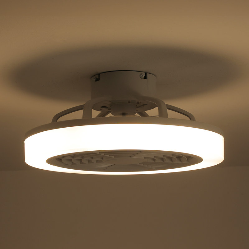 Ceiling Fan with LED Lights
