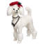 Poodle With Red Bow - 23.5 Inches