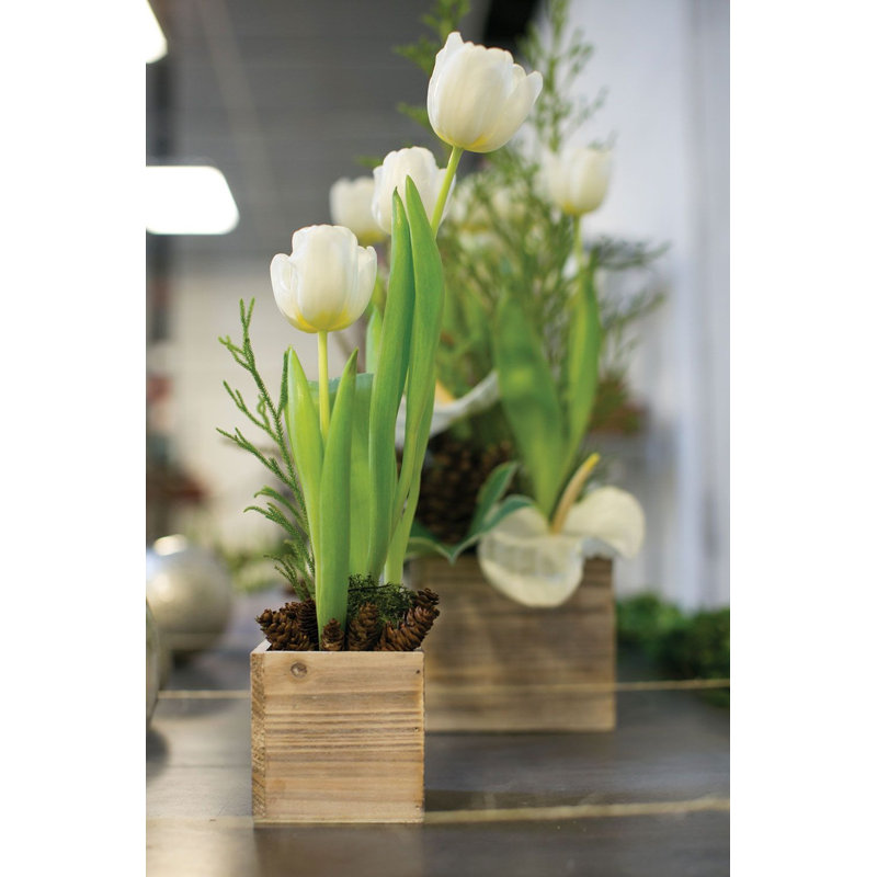 Boîte à fleurs en bois , Naturel, H 4 po x l 4 po x P 4 po