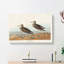Pectoral Sandpipers by John Audubon - Wrapped Canvas-55329468