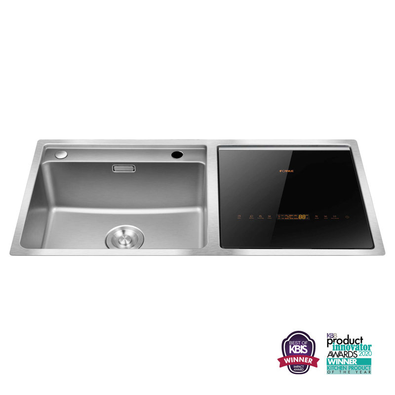 FOTILE Stainless Steel 2-in-1 In-Sink Dishwasher Combination