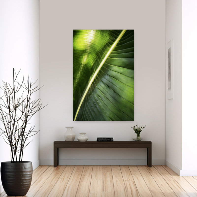 Giant Palm Leaf by Angelo Cerantola - Wrapped Canvas Print, 152.4 cm H x 101.6 cm W