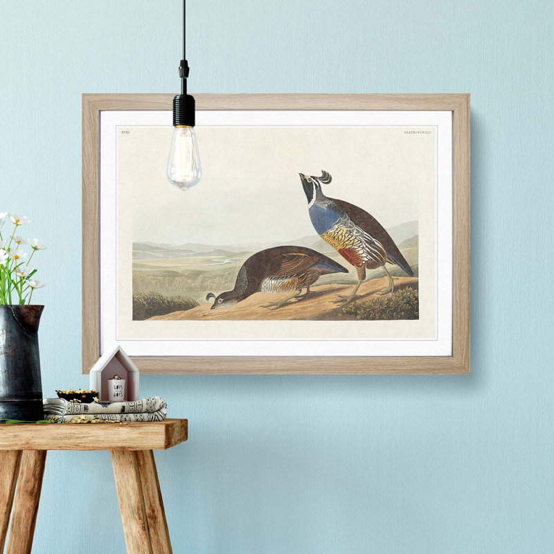 California Partridge by John Audubon - Picture Frame Painting Print, 27cm H x 36cm W x 2cm D, Oak Framed