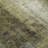 Machine Washable Indoor/Outdoor Xhevrie Olive Rug-1443832848