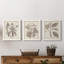 Ensemble de 3 cadres photo sur toile Midnight Tulip V-981462662-981462673