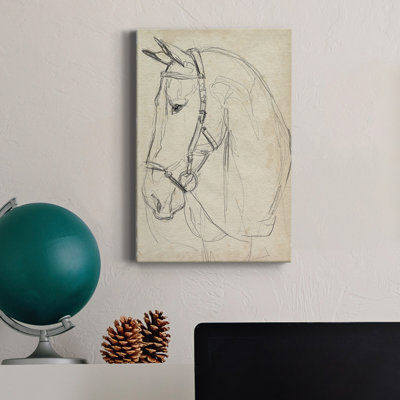 " Horse In Bridle Sketch II "