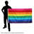 Historic Pride 3x5 Grommet Flag