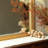 Accent Mirror Decorative Wall Mirror