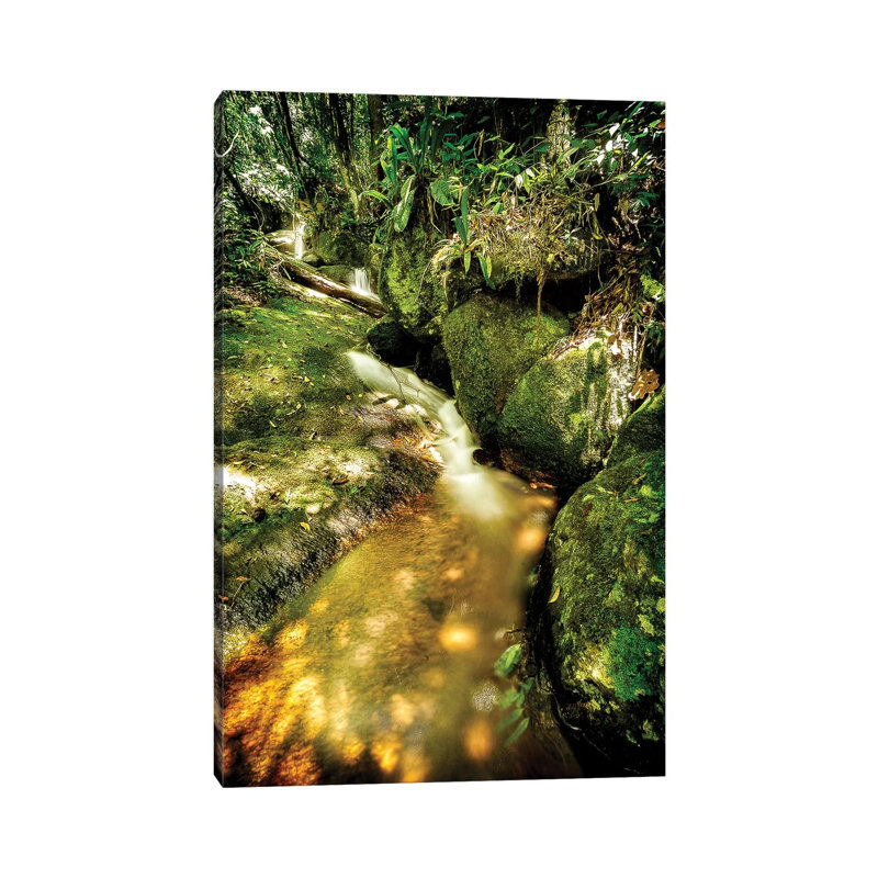 Tropical Forest III by Glauco Meneghelli - Wrapped Canvas Print, 66.04 cm H x 45.72 cm W