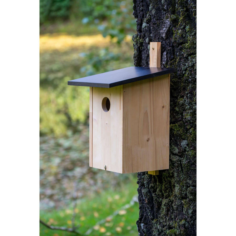 Large nesting box for starlings, woodpeckers and reversible necks.