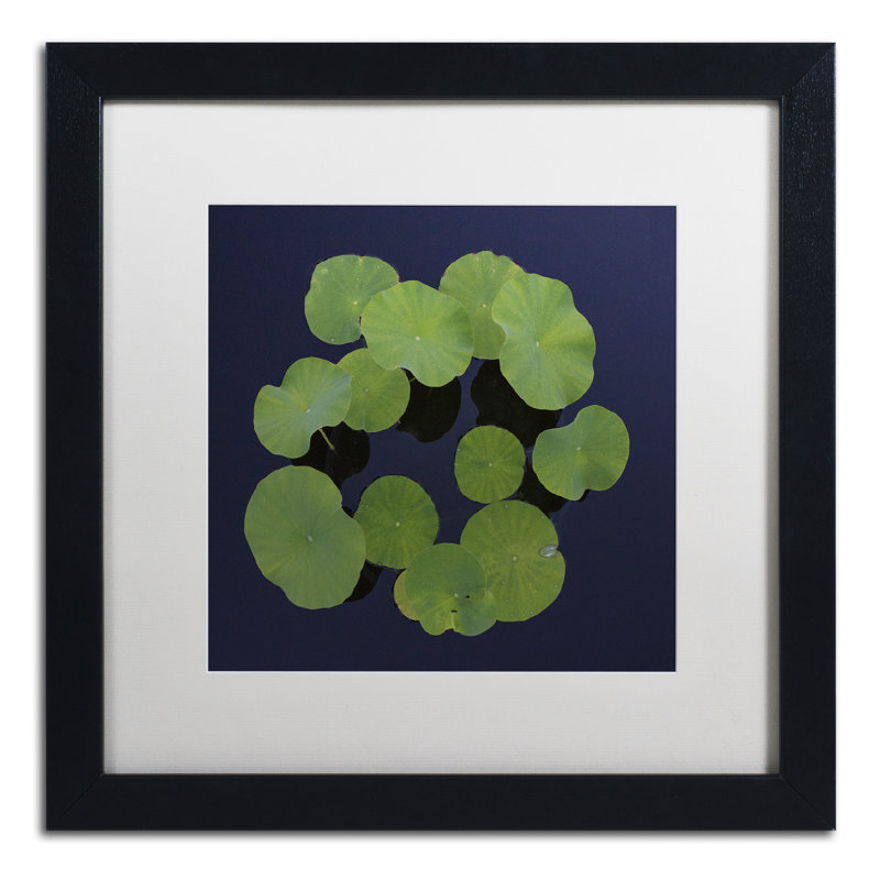 « géant lily pad abstract » par kurt shaffer, reproduction de photo encadrée, H 16 po x l 16 po x P 0,5 po, Blanc