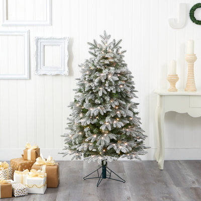Lighted Christmas Tree