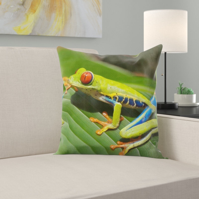 Coussin de grenouille tree