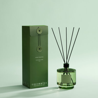 Diffuseur en mousse d'eucalyptus