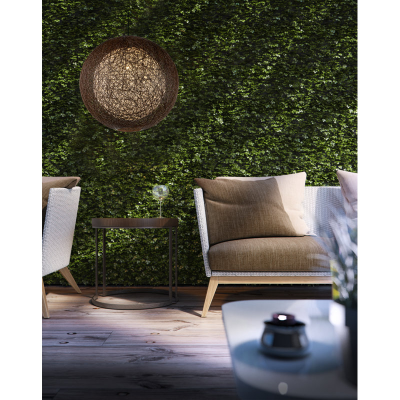 Areyanna Outdoor Pendant