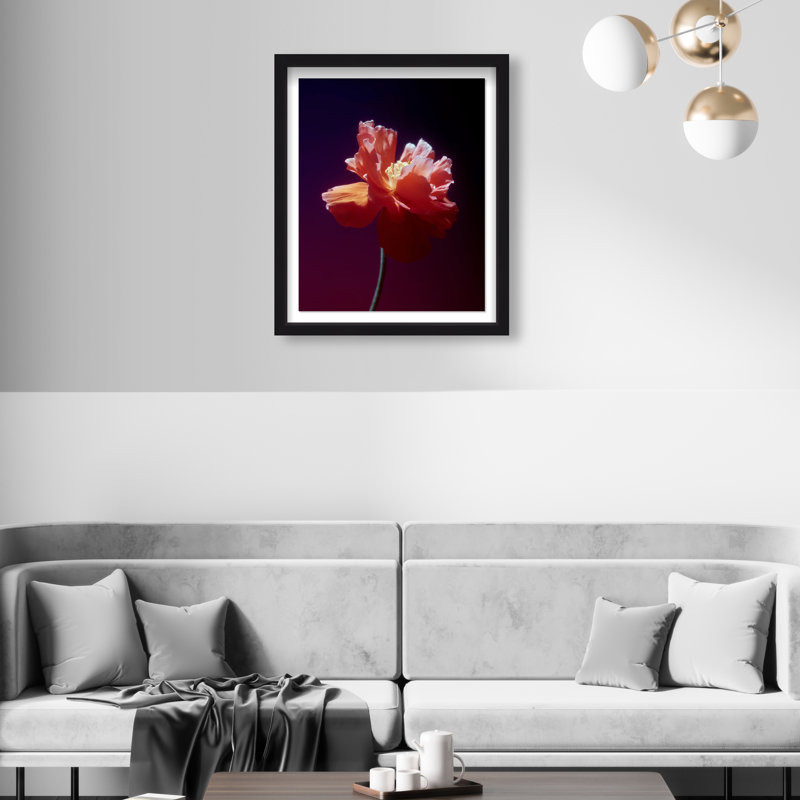 Taffeta Twilight II Shadowbox Floral & Botanical Print by Oliver Gal, Black Frame, 16 x 20, 17.5"H x 21.5"W, Black Shadowbox