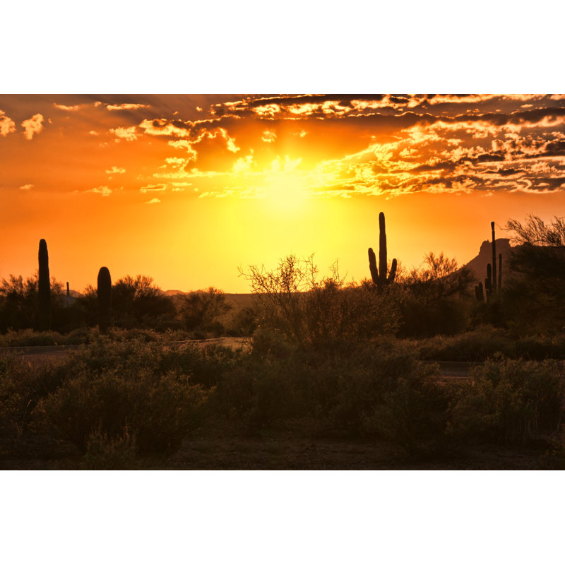 Sunset View Of The Arizona Desert With Cacti, USA by Jenifoto - Wrapped Canvas Print, 12"H x 18"W