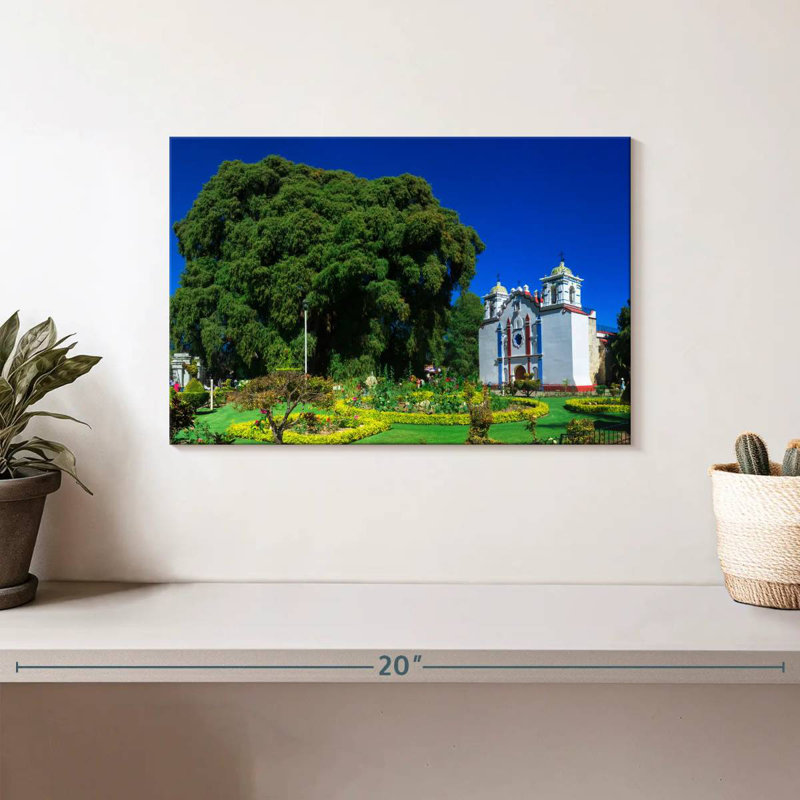 Adella Mexico's El Tule Tree, 8" H x 12" W