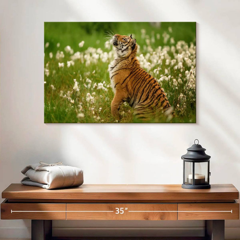 Brampt Tiger Cub, 16" H x 24" W