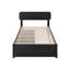Lit Ause-1763986508-1805206842