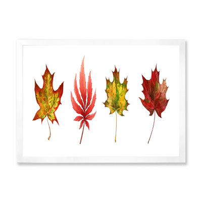 Feuille d'érable rouge I - reproduction sur toile