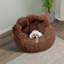Creative Cute Bear Paw Dog and Cat Bed-1338629232-1338629237