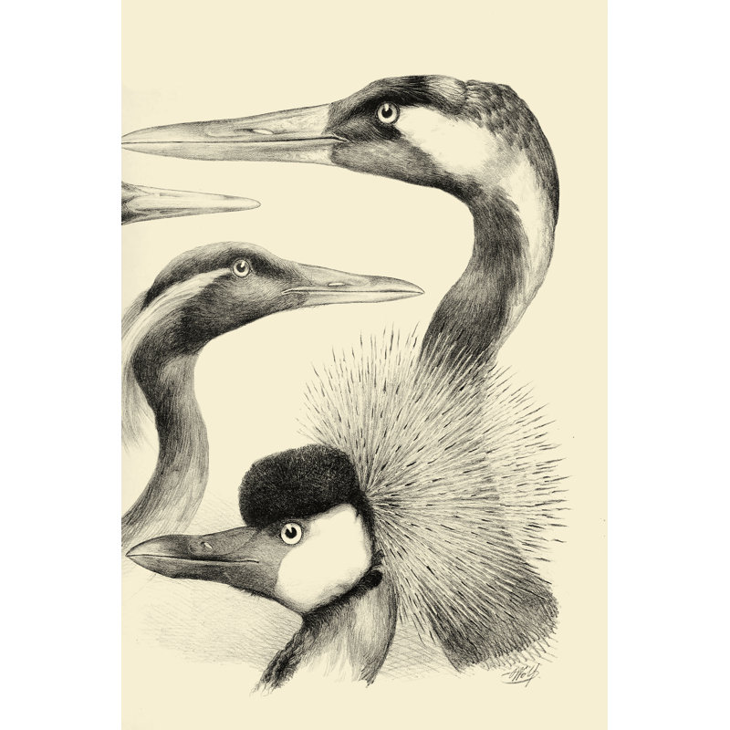 Waterbird Sketchbook I -  Painting, 30 cm H x 20 cm W, Wrapped Canvas