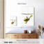 Grenouille sous l'eau-117129029