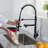 Fapully Pull Down Kitchen Faucet