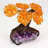 Small Genuine Citrine Clustered Gemstone Tree on Amethyst Matrix (The Money Tree)