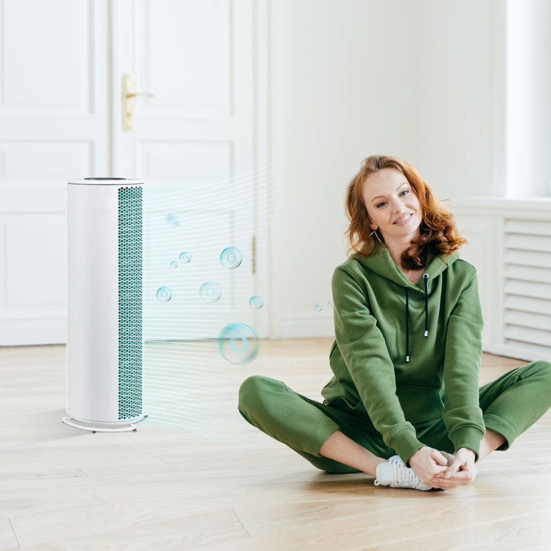 Purificateur d'air pour 323