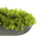 Faux Moss Plant in Fiberstone Planter-112842974-113002687