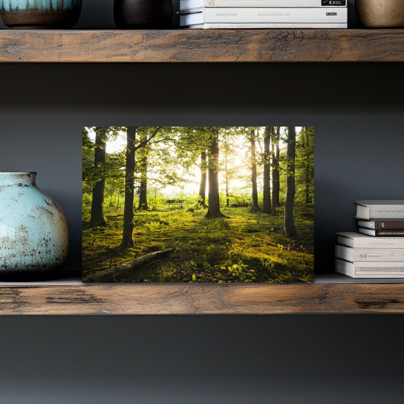 «Summer In The Woods Abstract Contemporary Forest Landscape», reproduction d'art mural, 12" H x 18" W
