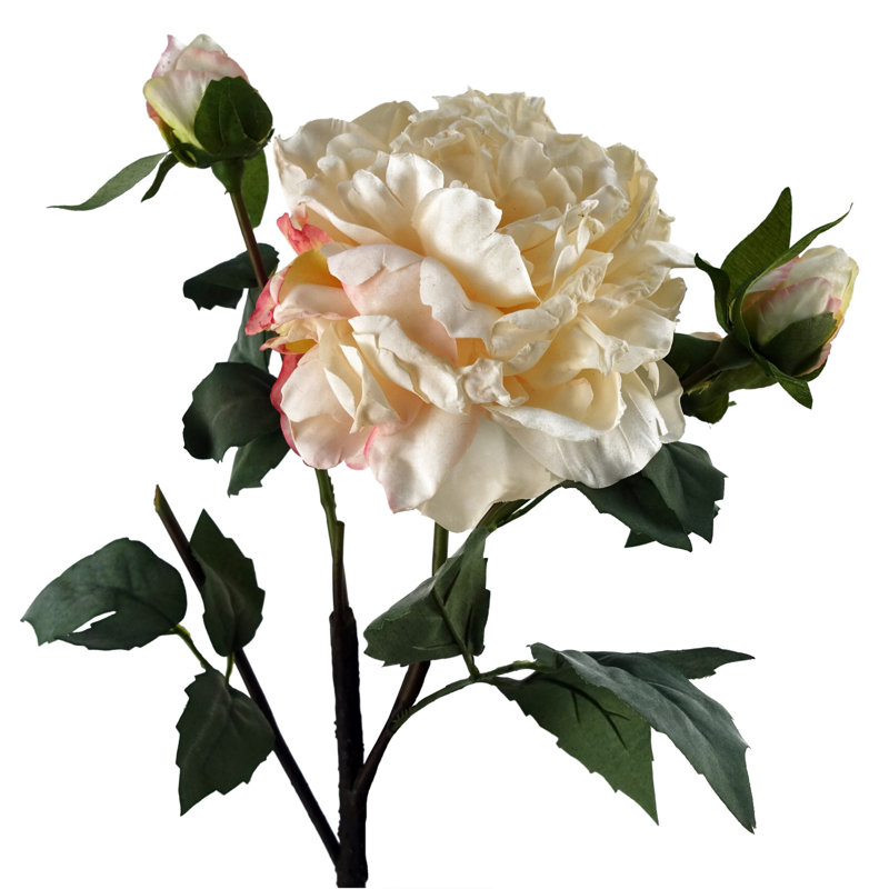 Plastic, Silk Artificial Arrangement, Cream